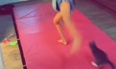 I also love to fly and jump