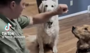 what sorcery is this?